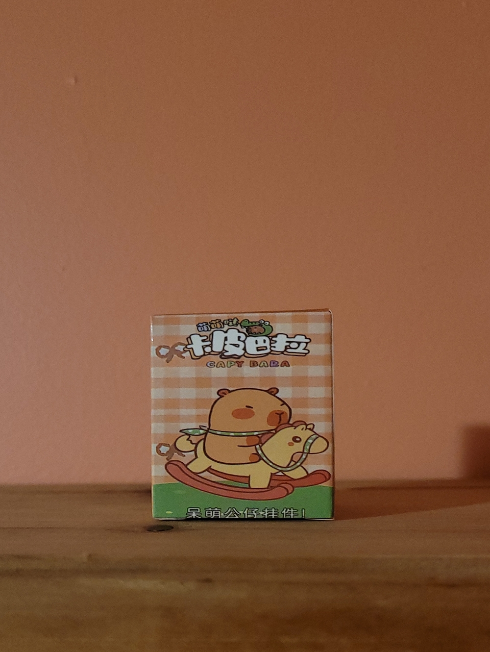capybara mystery box